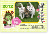 �K�b�c�|�[�Y�C�̏t�F�t���[��-�t�@�~���[